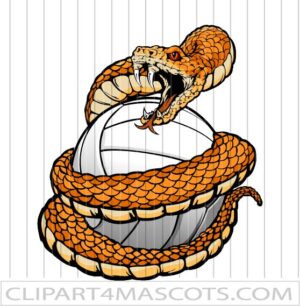 Snake Volleyball Logo