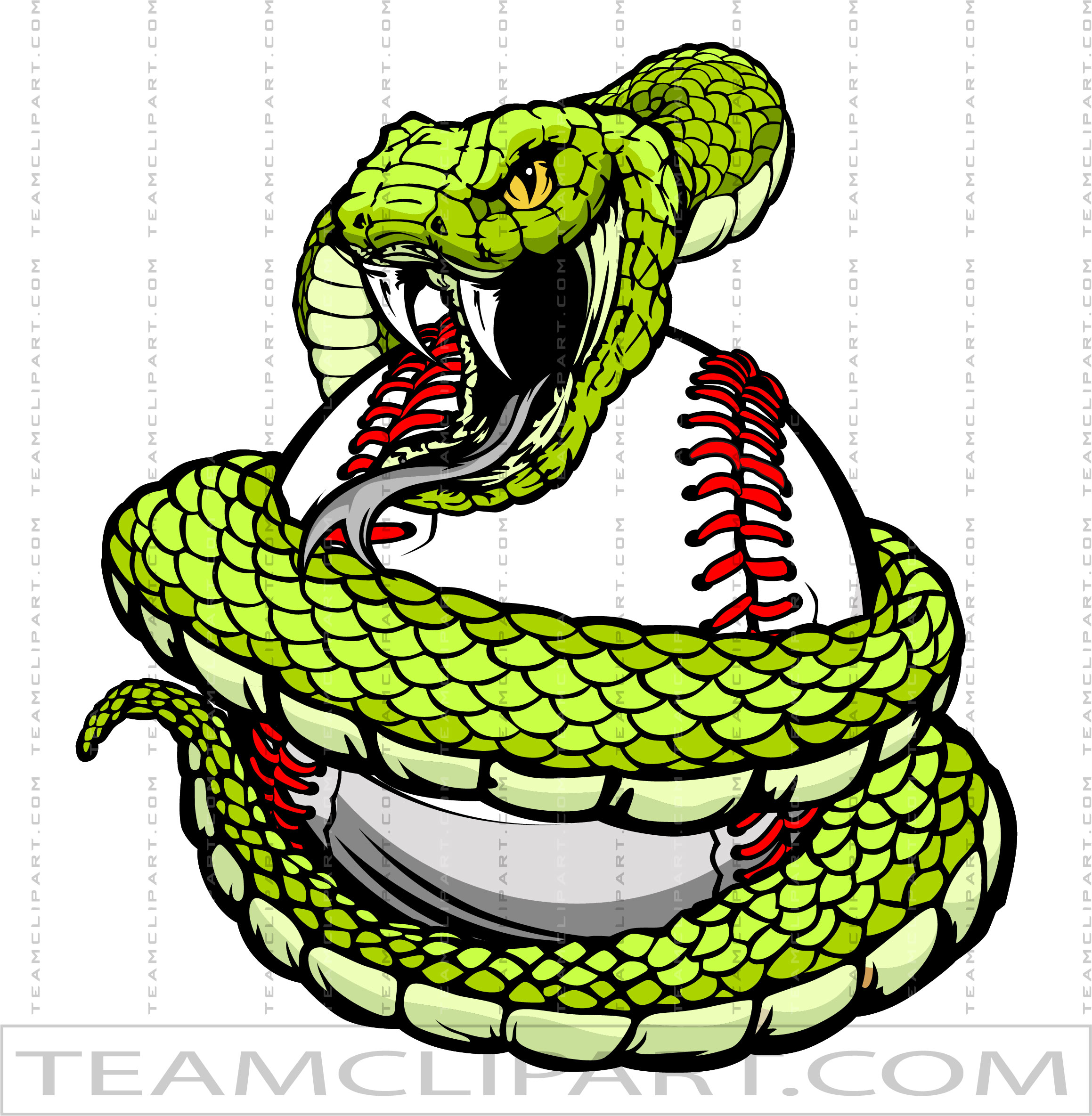 Viper Baseball Clip Art