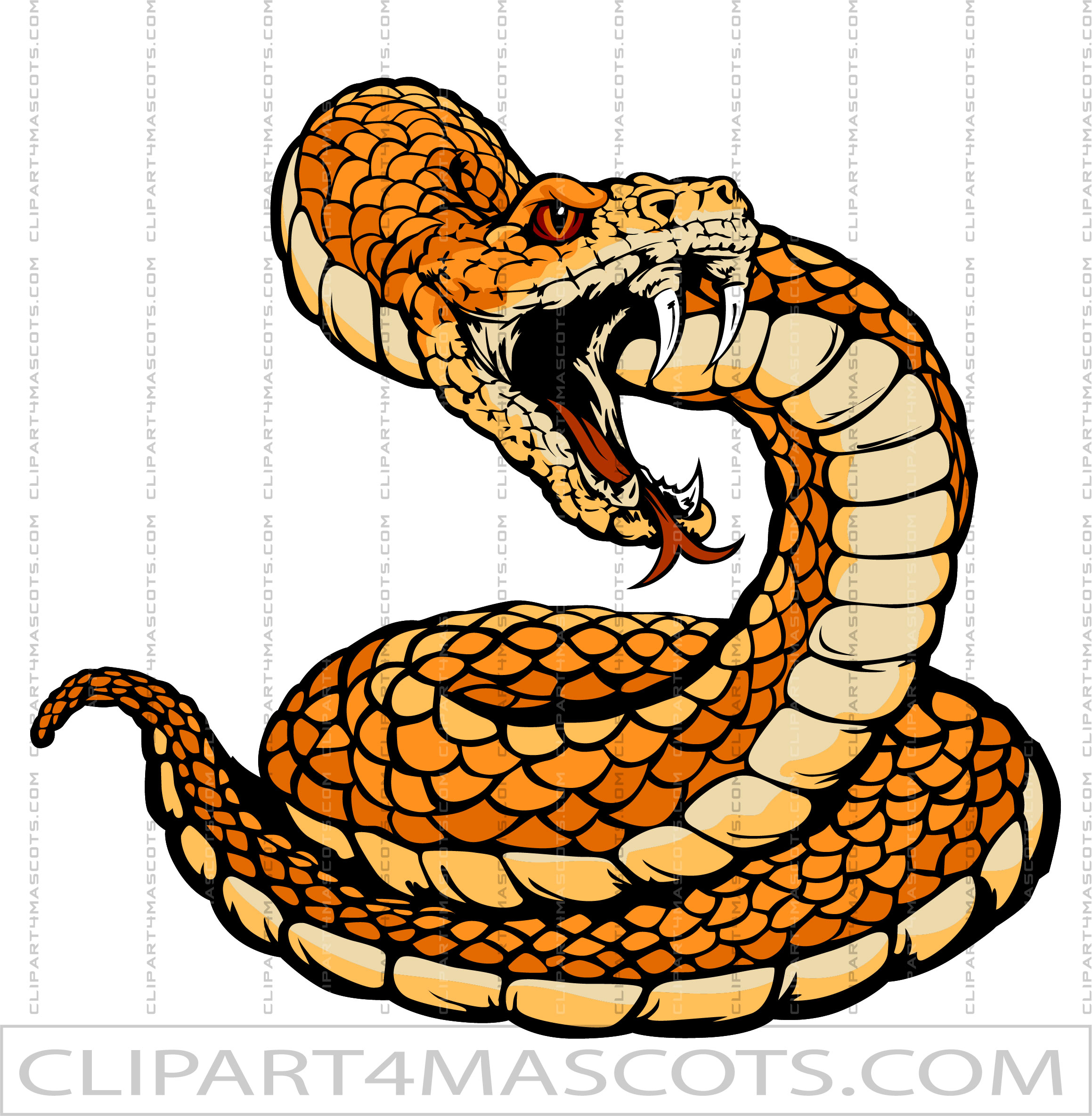 Coiled Rattlesnake Clipart Image